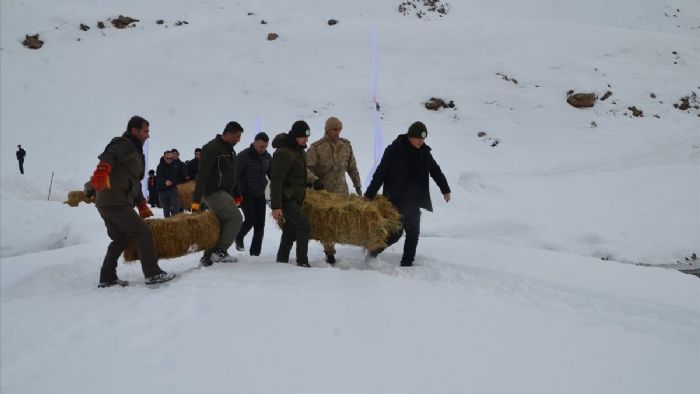 Soğuk hava yaşam şartlarını zorladı! Muş, Varto`da yaban hayvanları için doğaya yem bırakıldı