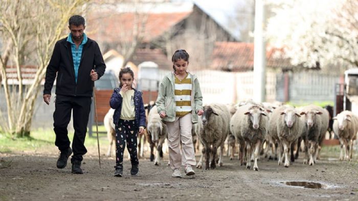 Düzce`de köy hayatı tutkunu çift, 2 koyunla başladıkları besicilikte çiftlik kurdu