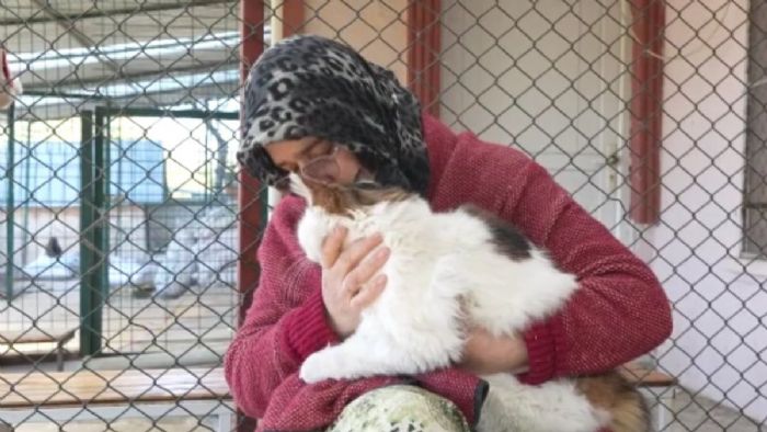 Ankara`da evinin bir katını sokak kedilerine yuva yaptı