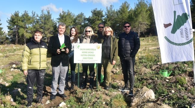 HomeSasalı Hatıra Ormanında Fidanlar Toprakla Buluştu