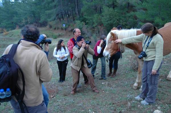 Kemalpaşa Alaş Kımız Çiftliği